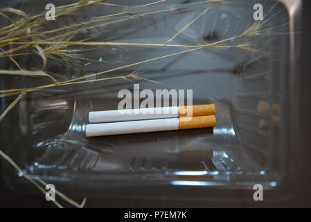 Zwei einfach Zigaretten liegen in Verpackungen aus Kunststoff. Stockfoto