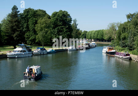 Blick auf den Fluss Themse von Abingdon Brücke im Sommer, Abingdon-on-Thames, Oxfordshire, England, Großbritannien Stockfoto