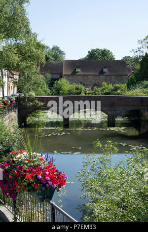 Blick auf den Oberlauf, Abingdon-on-Thames, Oxfordshire, England, Großbritannien Stockfoto