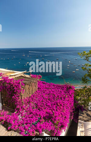 Positano durch rosafarbene Bougainvillea und Boote im Hintergrund eingerahmt. Bunte Positano, das Juwel der Amalfi Küste, mit seinen bunten Häusern und Stockfoto