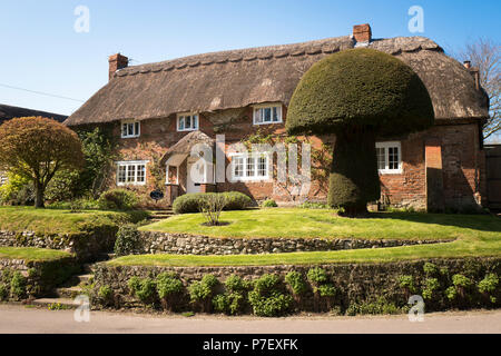 Reetgedeckte Peacock Ferienhaus in Wiltshire Dorf Wansborough England Großbritannien Stockfoto