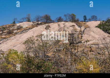 Abgesehen von Stone Mountain mit ein paar Bäumen suchen awesome an einem sonnigen Tag in der Sommersaison. Stockfoto