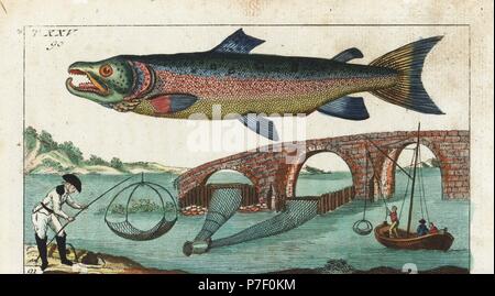 Silber oder Atlantischer Lachs, Salmo salar, männlich und Methoden der Fang von Lachs mit Netzen unter einer Brücke. Natürlich Kupferstich nach Jacob Nilson vom Gottlieb Tobias Wilhelm Encyclopedia of Natural History: Fisch, Augsburg, 1804. Wilhelm (1758-1811) war ein bayerischer Pfarrer und Naturforscher, bekannt als die deutsche Buffon. Stockfoto