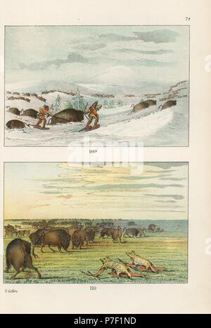 Native Americans in Schneeschuhen Jagd Büffel oder Bison im Winterschnee 109 und tragen weiße Wolf Skins, Bison auf der Prärie 110 zu jagen. Handkoloriert Lithographie von George Catlins Sitten, Bräuche und Zustand der nordamerikanischen Indianer, London, 1841. Stockfoto