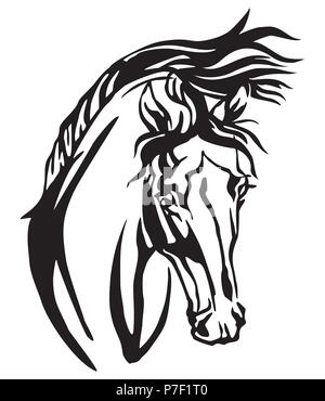 Dekorative Porträt des arabischen Pferdes, Vektor isoliert Abbildung in schwarz auf weißem Hintergrund. Bild für Design und Tattoo. Stock Vektor