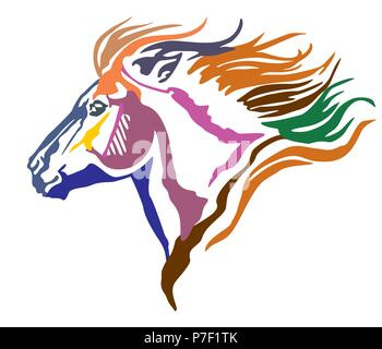 Bunt dekorativ Portrait im Profil der laufenden Pony mit langer Mähne, Vector Illustration in verschiedenen Farben auf weißem Hintergrund. Bild fo Stock Vektor