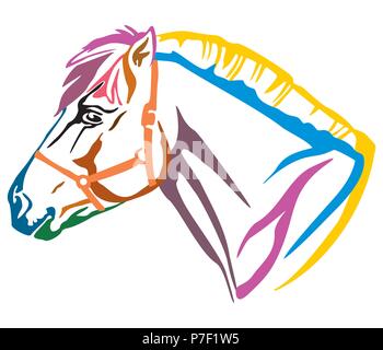 Bunt dekorativ Portrait im Profil der Norwegischen Fjord Pony, Vector Illustration in verschiedenen Farben auf weißem Hintergrund. Bild für Desig Stock Vektor