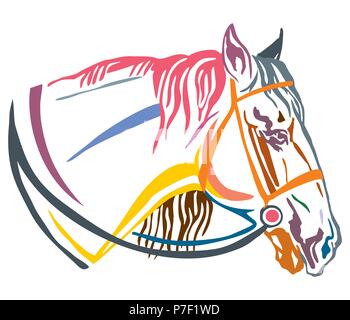 Bunt dekorativ Portrait im Profil von Pferd mit Zügel, Vector Illustration in verschiedenen Farben auf weißem Hintergrund. Bild für Design ein Stock Vektor