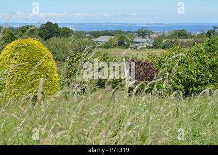 Spaziergang von Crawford Gärten St Andrews, Fife, Craigtoun Park Stockfoto