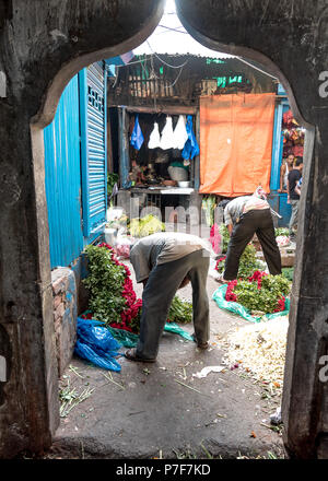 Mai 27,2018. Kolkata, Indien. Blume ganze Verkäufer beschäftigt mit Blume klemmt am Blumenmarkt oder Mullik Bazar, Kolkata. Stockfoto