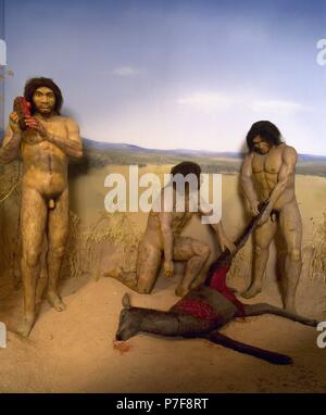 Die menschliche Evolution. Homo Vorgänger. Ausgestorbene Spezies Mensch. 1.200 bis 800.000 Jahren. Jagdszene. Stockfoto