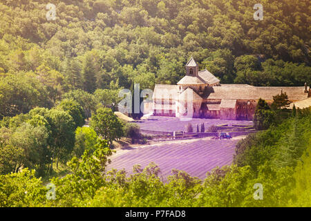 Luftaufnahme von Senanque Abtei in der Provence Stockfoto
