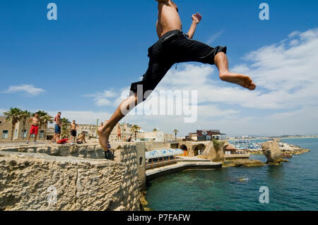 Akko alte Mauer Jumper, Israel Stockfoto