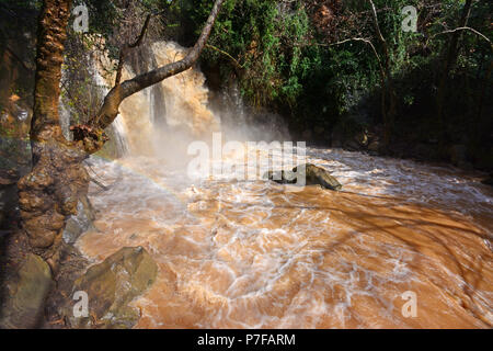 Die banias (banyas) Wasserfall der Hermon Stream (Banias) Nature Reserve, im Norden Israels Stockfoto