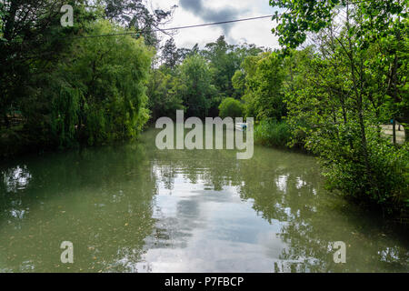 Park in der Kurie; Tamengos; Anadia; Portugal Stockfoto