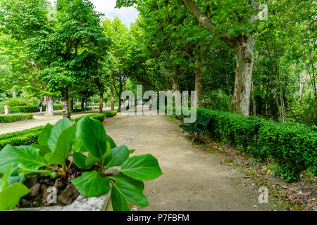 Park in der Kurie; Tamengos; Anadia; Portugal Stockfoto