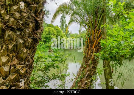 Park in der Kurie; Tamengos; Anadia; Portugal Stockfoto