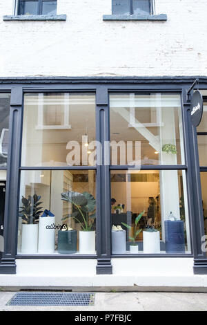 Äußere des Allbirds popup Store unter Hotaling, Jackson Street, San Francisco, CA, USA. Stockfoto