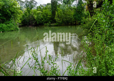 Park in der Kurie; Tamengos; Anadia; Portugal Stockfoto