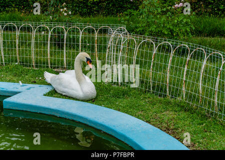 Park in der Kurie; Tamengos; Anadia; Portugal Stockfoto