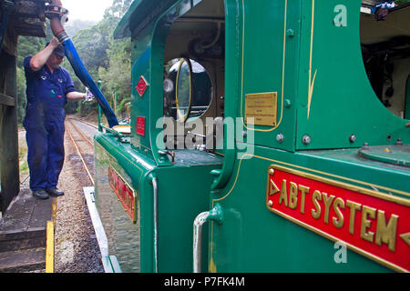 Die West Coast Wilderness Railway zwischen Queenstown und Strahan Stockfoto