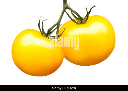 Bündel von gelben Tomaten auf weißem Hintergrund Stockfoto