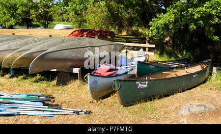 Pataholm, Schweden - 28. Juni 2018: Alltag und Ort. Reihe von Vermietung Kanus mit Paddel und Schwimmwesten am Ufer. Stockfoto