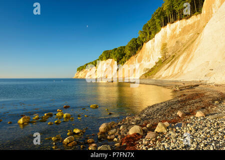 Kreidefelsen der Klippen im Morgenlicht, Ostsee, Nationalpark Jasmund, Rügen, Mecklenburg-Vorpommern Stockfoto