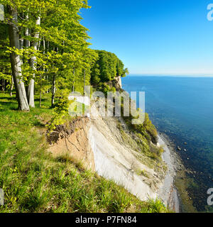 Blick auf die Ostsee und die Kreidefelsen im Frühjahr, Buche Wald auf dem Steilufer, frisches Grün, Nationalpark Jasmund Stockfoto