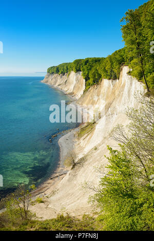 Blick vom hohen Ufer der Ostsee und den Kreidefelsen, Nationalpark Jasmund, Rügen Insel Stockfoto