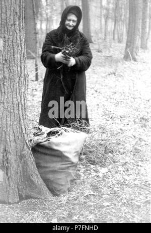 Frau Brennholz sammeln im Wald, Ort unbekannt, Ca. 1945 Stockfoto