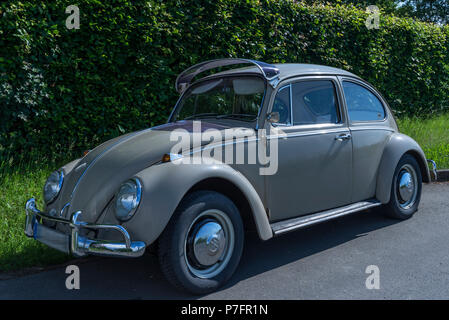 VW Beetle, Baujahr 1963, Bayern, Deutschland Stockfoto