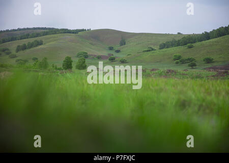 Chengde, Chengde, China. 6. Juli, 2018. Sommer Landschaft aus Grasland und Feuchtgebiete an Saihanba in Chengde,Hebei Provinz Chinas. Credit: SIPA Asien/ZUMA Draht/Alamy leben Nachrichten Stockfoto