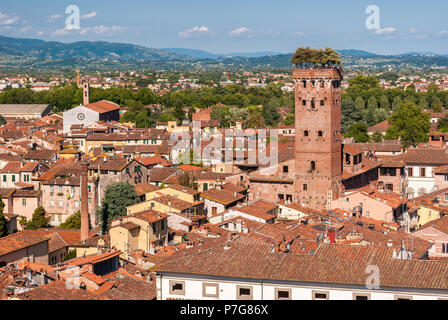 Luftaufnahme von Lucca, in der Toskana, der Turm auf der rechten Seite aufgerufen wird "Torre Guinigi" Stockfoto