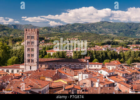 Luftaufnahme von Lucca in der Toskana, an einem sonnigen Nachmittag; der Glockenturm der Kirche San Frediano gehört Stockfoto