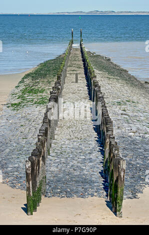 Zwei Linien der verwitterten Holzpfähle auf einem Basalt breakwateron der Strand in der Nähe von Breskens, Niederlande Stockfoto