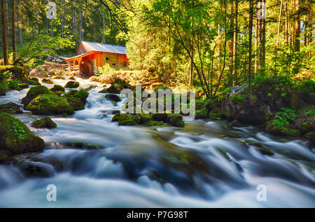 Schönheit der Landschaft mit Fluss und Wald in Österreich, Golling Stockfoto