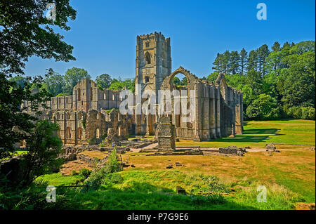 Die Ruinen von Fountains Abbey in North Yorkshire unter einem klaren blauen Himmel. Die Abtei wurde weitgehend während König Heinrichs VIII. Reformation zerstört. Stockfoto