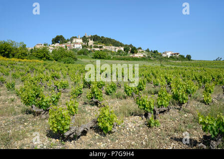 Dorf Rasteau und Côtes-du-Rhône Weinberg oder Weinberge Vaucluse Provence Frankreich Stockfoto