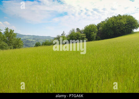 Natürliche Landschaft mit schönen grünen Hügel Stockfoto