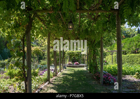 Schattige Pergola im Garten des 18. Jahrhunderts Schlösser in St. Remy-de-Provence Stockfoto