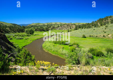 Obere Smith River in der Nähe von White Sulphur Springs, Montana Stockfoto