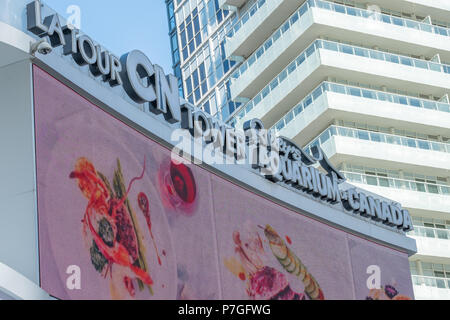 Hell beleuchtete Schild in der Nähe des CN Tower und Ripleyâ € Aquarium in Toronto, Ontario, Kanada. Stockfoto