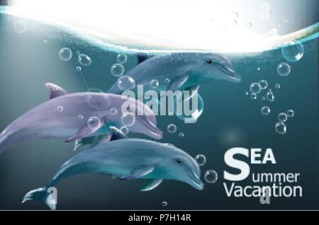 Sommer Card mit Delfinen Vektor. Unter Wasser Meer travel card Vermietungen Stock Vektor