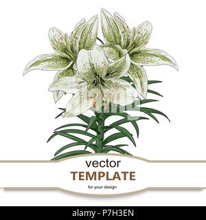 Sammlung von Hand Blumen auf weißem Hintergrund dargestellt. Stock Vektor
