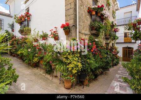 Macetas de Flores de la Calle, Iznatoraf, Loma de Ubeda, Provincia de Jaén de la Comarca de las Villas, Spanien, Europa. Stockfoto