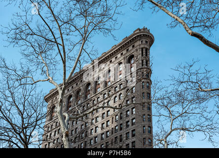 Baum und Flatiron Building, Manhattan, New York City, USA Stockfoto