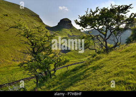 Peter Stein in Cressbrook Dale (2) Stockfoto