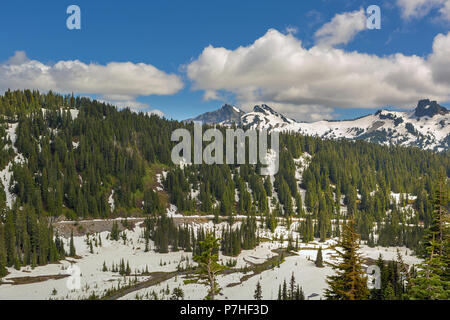 Mount Rainier National Park mit Schnee bedeckt Tatoosh Reihe malerischer Blick in Washington State Stockfoto