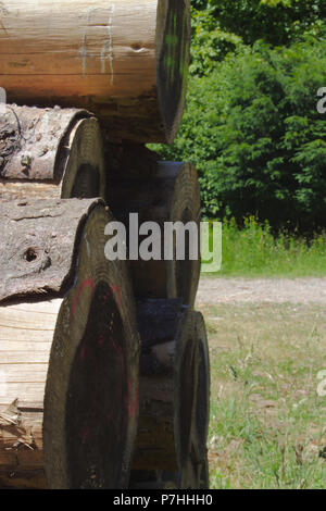 Schnitt unten Baum Holz Stapel Stockfoto